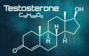 Using HCG to Increase Your Testosterone Levels Picture of the chemical formula of testosterone.